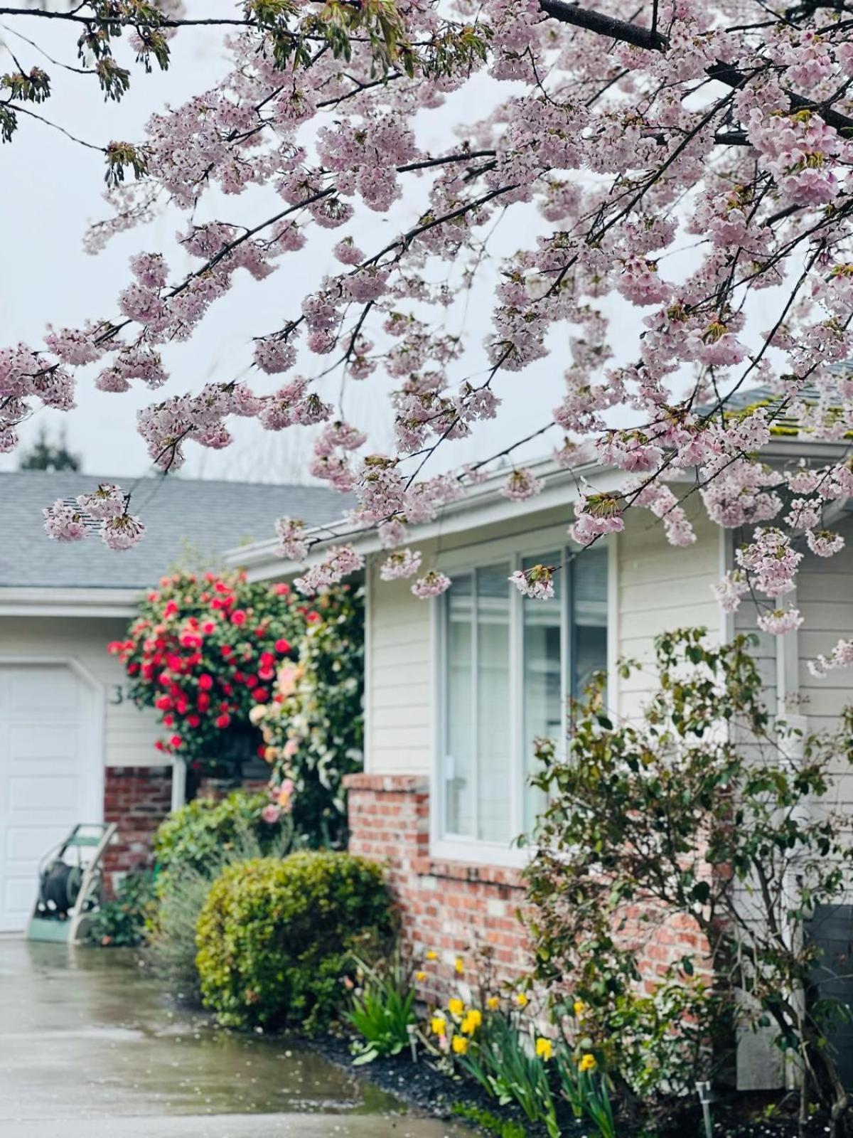 Villa Rivarola Edmonds Ngoại thất bức ảnh
